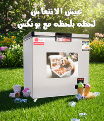 ديب فريزر يونكس 250 لتر سيلفر